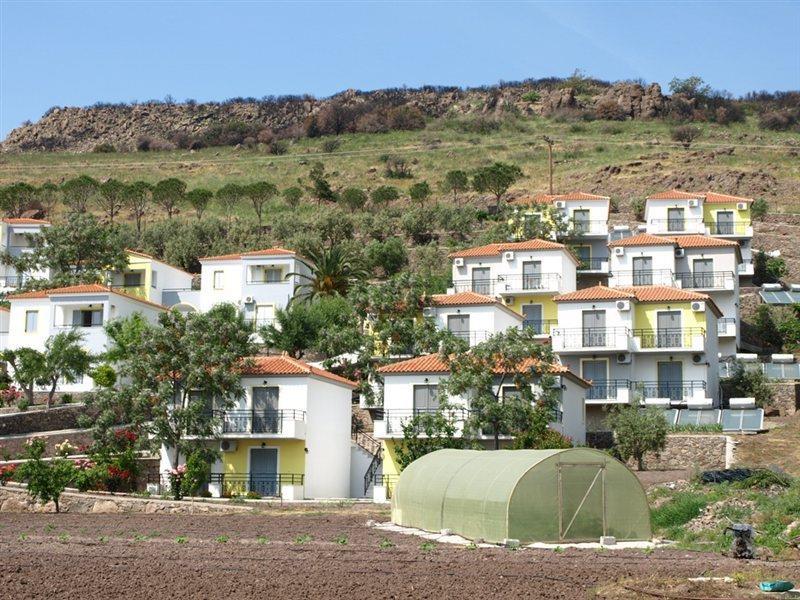 Panorama Hotel Petra  Dış mekan fotoğraf